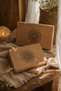 Grounding Cork Yoga Blocks